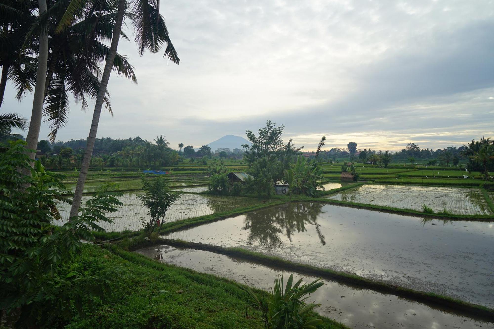 Santun Luxury Private Villas-CHSE CERTIFIED Ubud Habitación foto